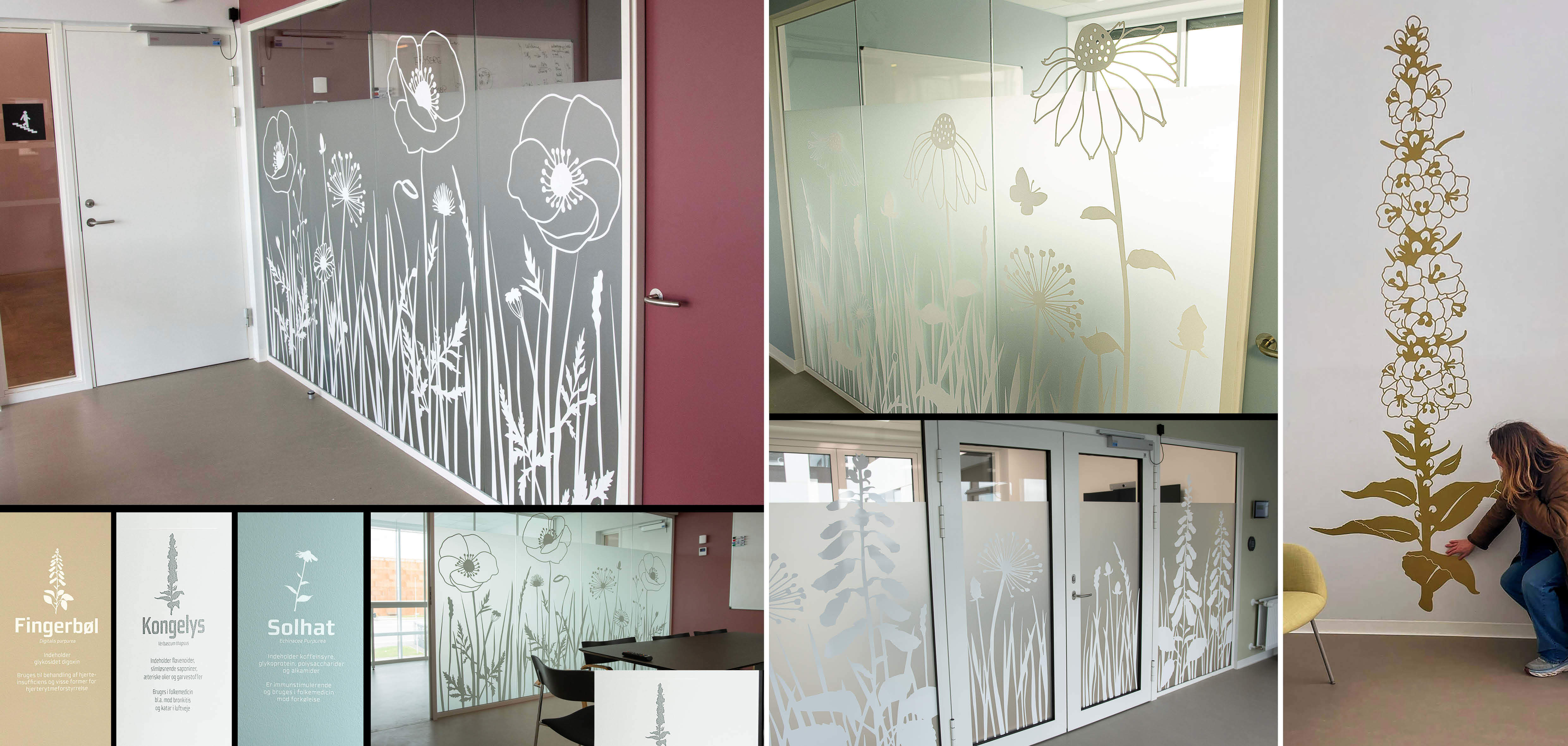 Design of patterns with medicinal herbs and plants for hallways, meeting rooms, and entrance areas at the Regional Pharmacy in Central Jutland/Denmark