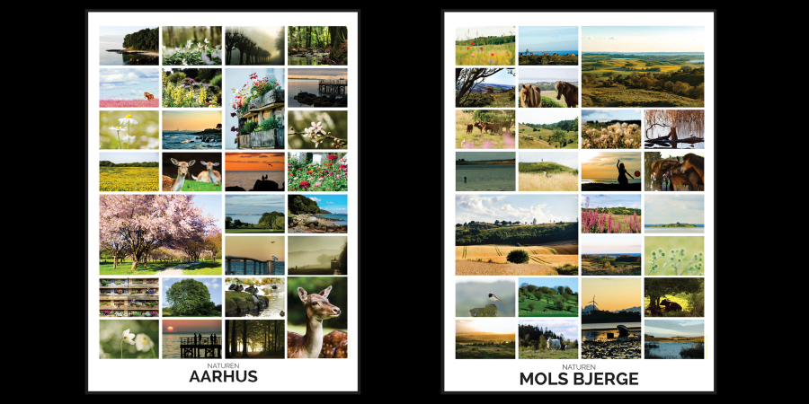 Plakat, kunst,m foto, natur, nature, fotografi, udstilling, lokalt, locale, Aarhus, Mols, Norths Sea, Fyn, Odense, turisme, plejehjem, hotel, sygehus, venteværelse